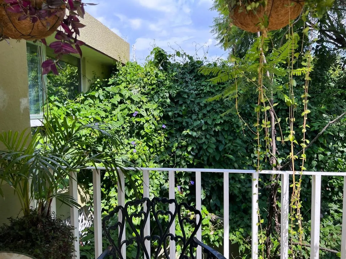 Dickinson Guest House, Guadalajara Expo